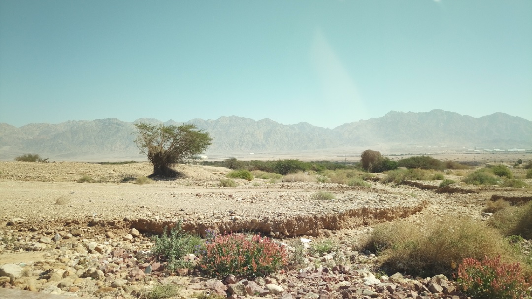 07-al-negev.jpg
